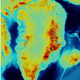 Image: British Antarctic Survey